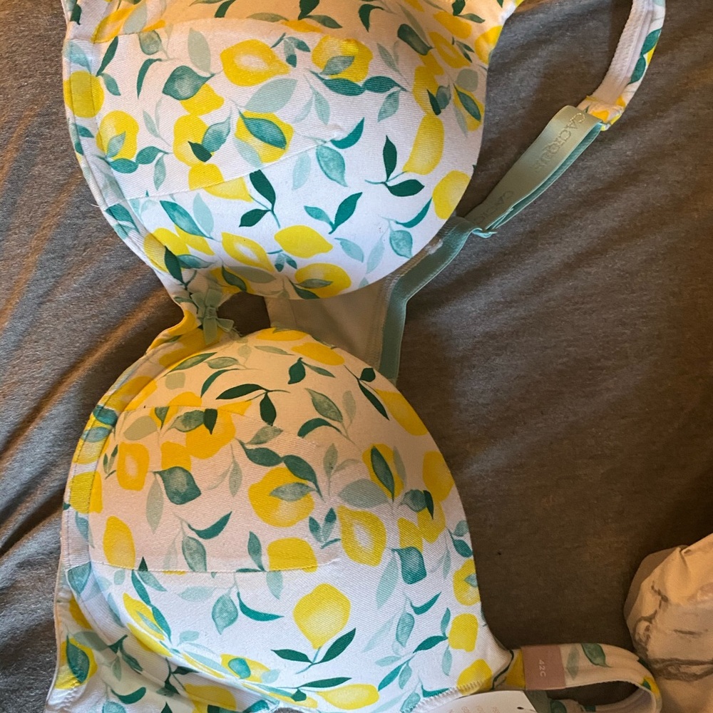 Lane Bryant Bra